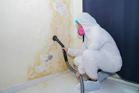 Best Real Estate Mold Inspection in West Hill, OH